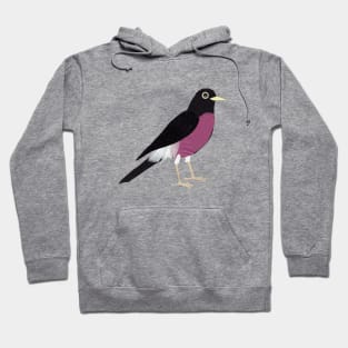 Rocking Robin Hoodie